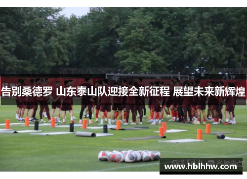 告别桑德罗 山东泰山队迎接全新征程 展望未来新辉煌