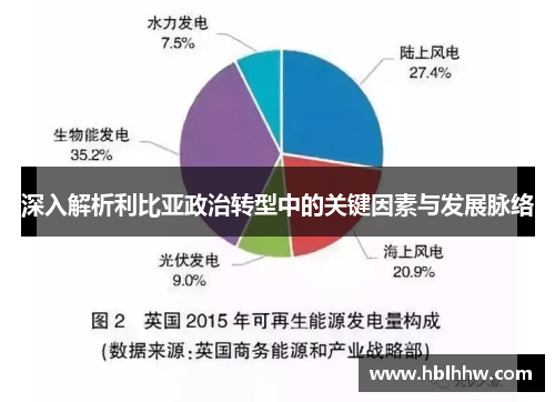 深入解析利比亚政治转型中的关键因素与发展脉络