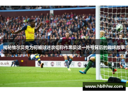 揭秘维尔贝克为何被球迷亲切称作黑贝这一外号背后的趣味故事