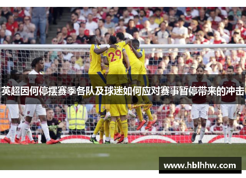 英超因何停摆赛季各队及球迷如何应对赛事暂停带来的冲击